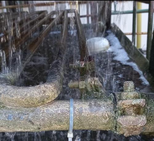 Tubulação de torre de resfriamento tomada por algas e biofilme, sem tratamento